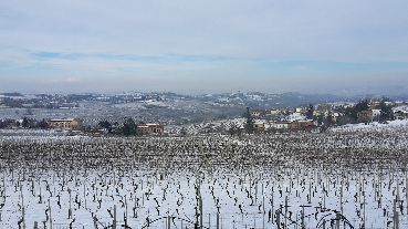 COLLINE CON NEVE
