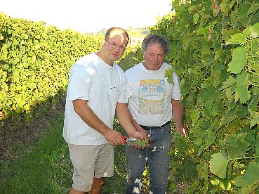VENDEMMIA MOSCATO
