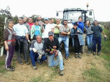 VENDEMMIA 2014