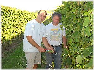RACCOLTA MOSCATO